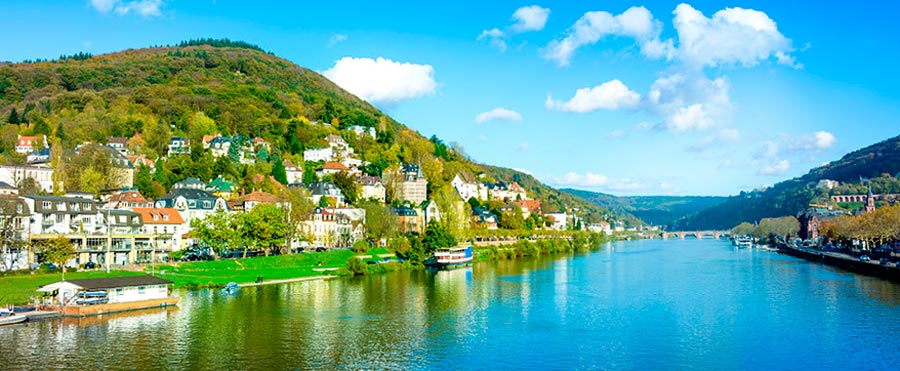 Rhine Cruise